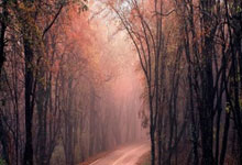 埃塞俄比亚选手打破厦门马拉松赛会纪录2025-01-06.