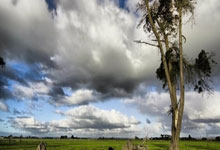 湖人激战火箭，东契奇晃倒申京引全场喝彩，但这操作二运了吗？.