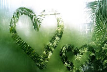 “尔滨”遇到亚冬会，精彩即将上演！2025-01-16.