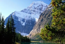 虎扑社区官网：[英超]萨维尼奥过人传中 哈兰德头槌入网窝.